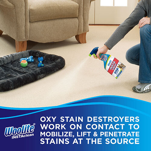 Pet Stain Remover, 22 oz, 1684W