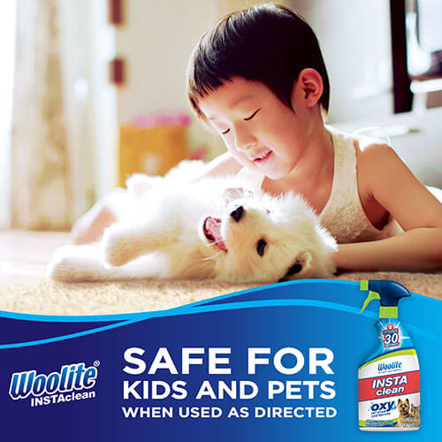 Pet Stain Remover, 22 oz, 1684W