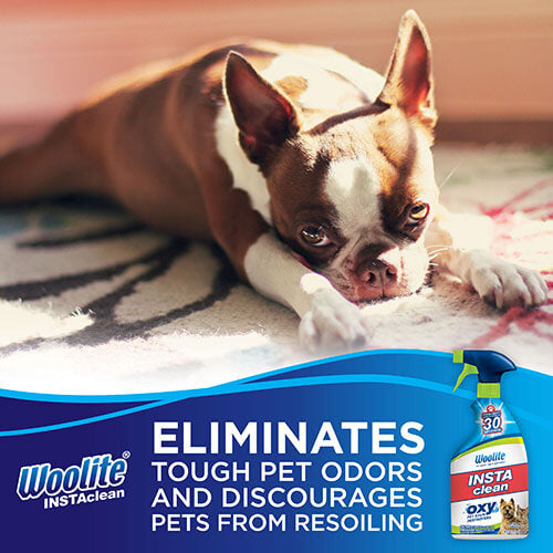Pet Stain Remover, 22 oz, 1684W