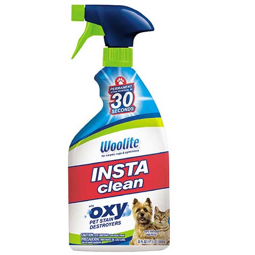 Pet Stain Remover, 22 oz, 1684W